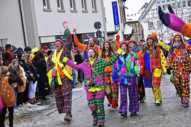 Bild 23: 75 Gruppen beim Fasnachtsumzug in St. Georgen: Wir haben die Bilder
