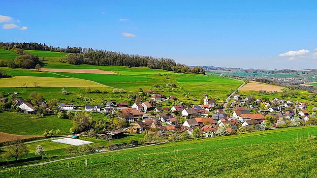 Die Lage: Krenkingen liegt am westlichen Steinatal inmitten von Feldern und Wiesen. Bilder: Melanie Mickley