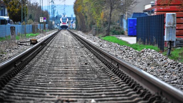 Ein Zug der Wiesentalbahn im Westen von Schopfheim. (Symbolbild)