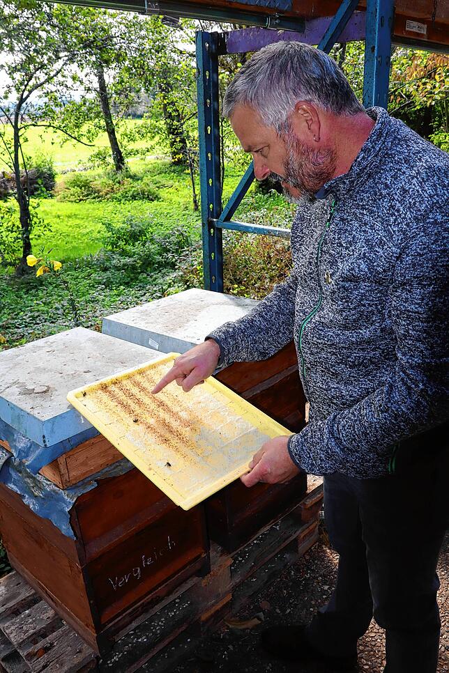 Auf diese Weise kontrollieren die Hobby-Imker den Befall mit Varroamilben, wie Helmut Mayer hier zeigt.