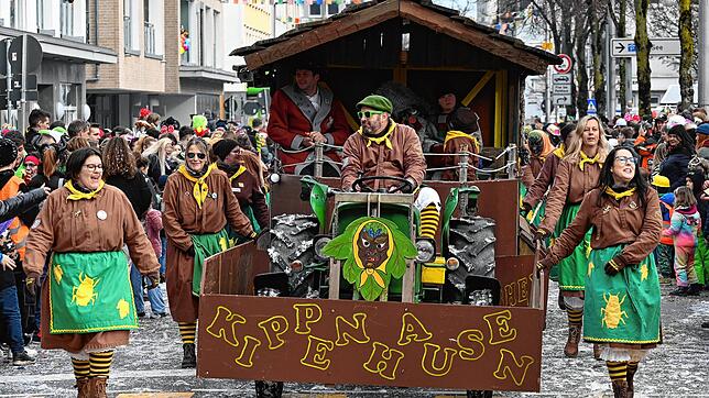 Bild 7: Großer Häfler Narrensprung in der Innenstadt &ndash; Teil 2