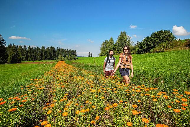 Ringelblumen, so weit das Auge reicht. Rina Sefa und Jens Kluzik waren in der dünn besiedelten Landschaft um Stiefenhofen in Bayern ...