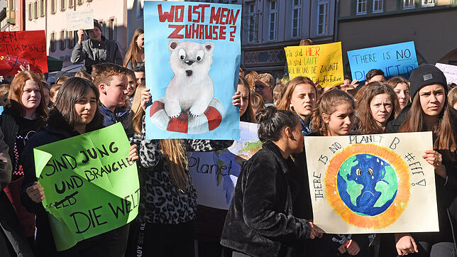 Diese Klima-Demo am Villinger Marktplatz zeigt: Der Nachwuchs der Region ist mit der Politik unzufrieden. Bild: Norbert Trippl