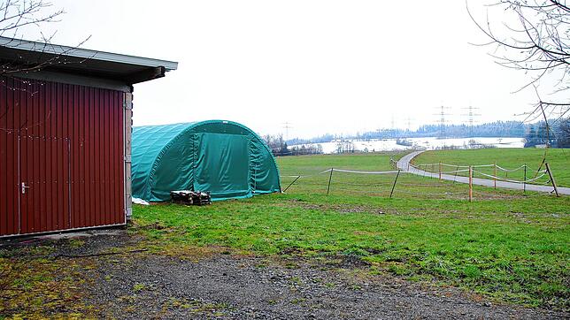 Scherben und Bierflaschen vor dem Heuzelt und dem Silo sind ein Ärgernis. Zigarettenstummel im Heuzelt weisen darauf hin, dass dort ...