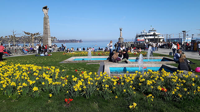 Bunt im Sommer: Der Konzilvorplatz ist während der warmen Jahreszeit sehr belebt. Allerdings ist die Wiese nur im Frühjahr eine blühende ...