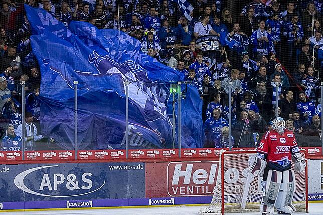 Bild 14: Die Wild Wings siegen wieder in der Deutschen Eishockey-Liga