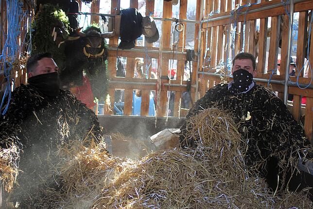Bild 11: Bilder vom großen Umzug in Bad Dürrheim &ndash; Teil 4