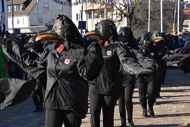 Bild 5: Bilder vom Narrentreffen der Urviecher-Zunft Bad Dürrheim: Großer Festumzug (3)