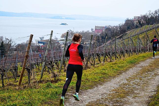 Bild 5: Bilder vom Crosslauf Hegau-Bodensee in den Reben oberhalb der Haltnau