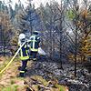 2019 hatte die Donaueschinger Feuerwehr bei Hubertshofen im Wald mit einem großen Feuer zu kämpfen.