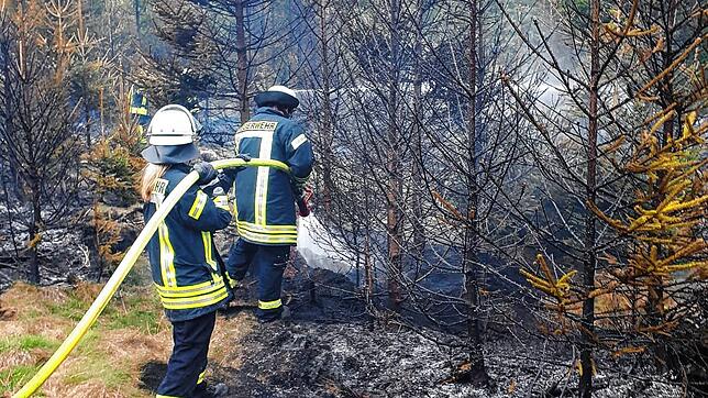 2019 hatte die Donaueschinger Feuerwehr bei Hubertshofen im Wald mit einem großen Feuer zu kämpfen.