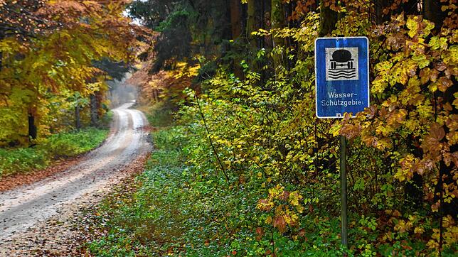 Im Wasserschutzgebiet liegen die Dachsbühlquellen, die für Homberg und Aach von großer Bedeutung sind. Bald wird investiert, um die ...