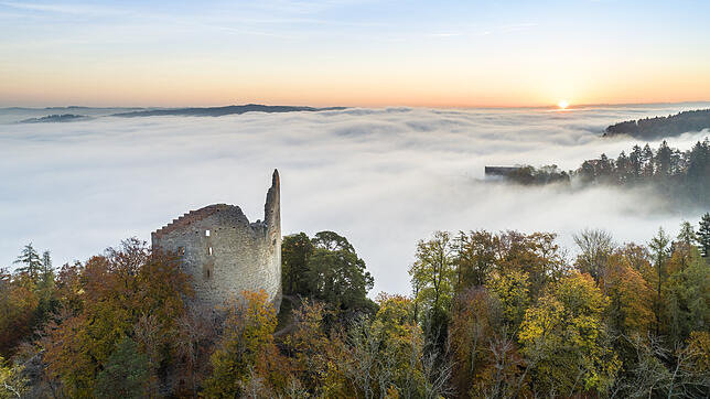 Eine der Burgen in unserer Region ist die Alt-Bodman, hoch über dem Bodensee beim Ort Bodman gelegen. Heute steht nur noch eine Ruine.