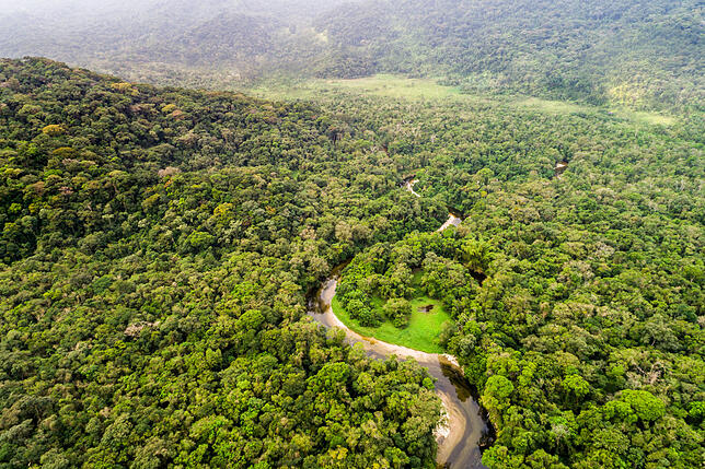 Bild 1: Dem Regenwald droht der Kollaps: Klimawandel und Brandrodungen hinterlassen tiefe Spuren am Amazonas