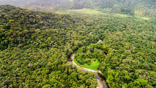 Bild : Dem Regenwald droht der Kollaps: Klimawandel und Brandrodungen hinterlassen tiefe Spuren am Amazonas