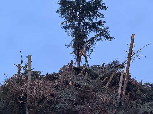 Bild 2: 30 Funkenbuben entfachen 17 Meter hohen Funken in Immenstaad – Ein beeindruckendes Spektakel!