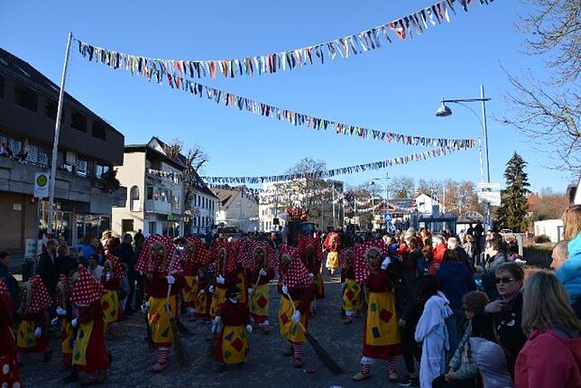 Bild 13: Bilder vom Narrentreffen der Urviecher-Zunft Bad Dürrheim: Großer Festumzug (4)