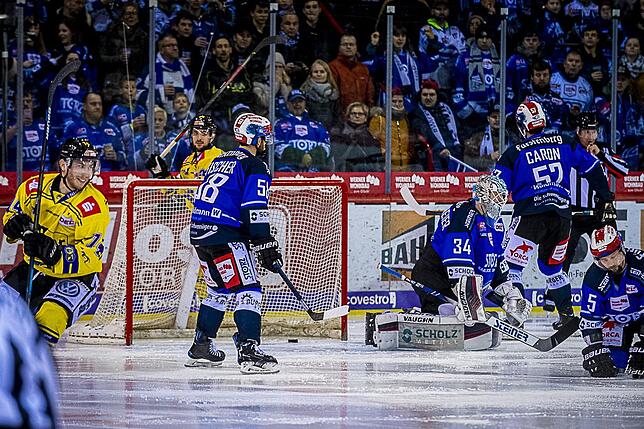 Bild 8: Bilder: Wild Wings vs. Krefeld Pinguine