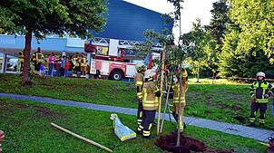 Aktive der Feuerwehr Höchenschwand befestigen den Baum. Foto: Stefan Pichler