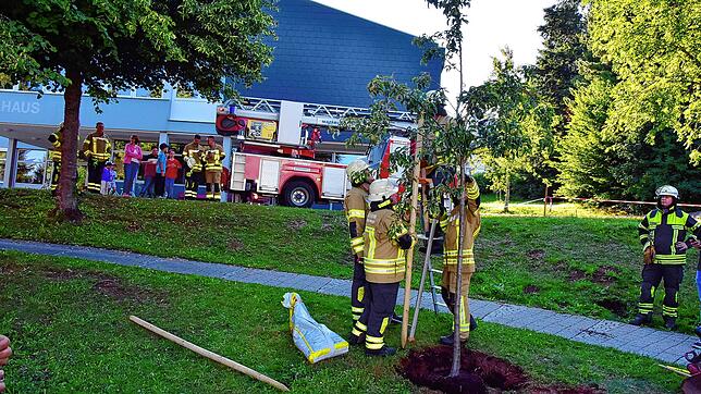 Aktive der Feuerwehr Höchenschwand befestigen den Baum. Foto: Stefan Pichler