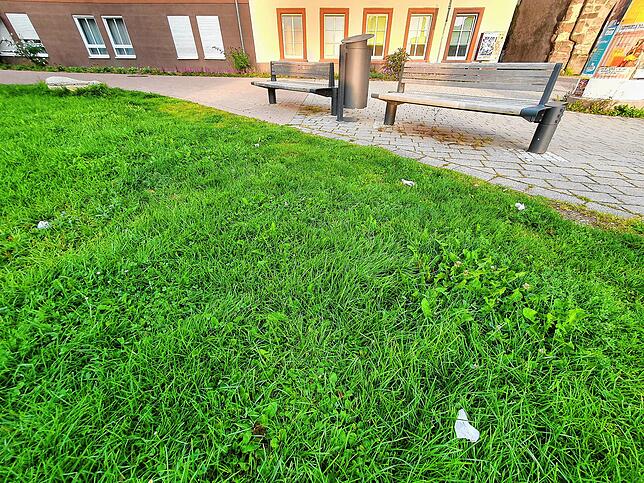 Schönes Bänkle, unschöne Aussicht: Kleenex-Tücher verschandeln diesen aufwändig hergerichteten Ort.
