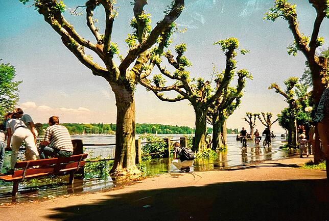 Bild 34: Hochwasser am Bodensee 1999: Diese Leserbilder zeigen das Ausmaß in Konstanz