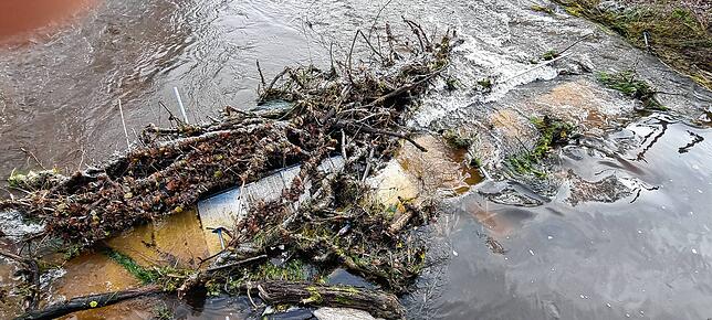 Das Gerüst befindet sich komplett im Wasser. Zur Bergung ist ein Kran notwendig.
