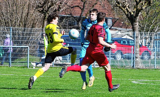 Bild 35: SV Denkingen besiegt FV Walbertsweiler-Rengetsweiler 3:1. Wir waren mit der Kamera dabei!