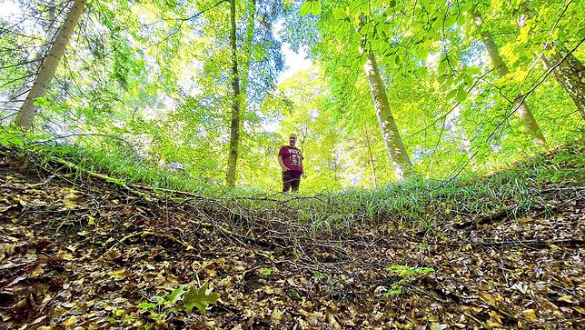 Das hier ist kein einfaches Loch im Boden. Das Bild wurde vom Grund eines Bombenkraters aufgenommen. Davon gibt es mehrere im Wald um ...