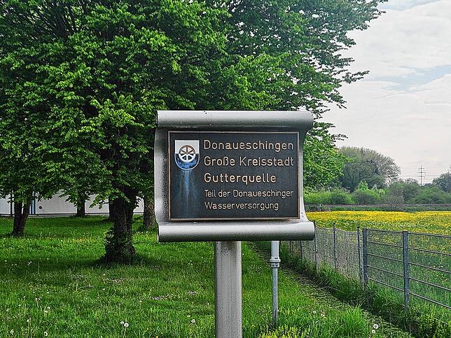 Die Gutterquelle zwischen Schlosspark, Bahn und B27 versorgt den Großteil der Donaueschinger mit qualitativ hochwertigem und kalkarmem ...