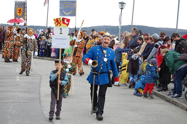Bild 21: Bilder vom Fasnachtsumzug in Laufenburg (2)