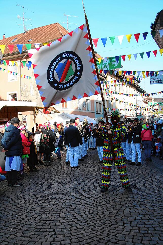 Bild 28: Fasnachts-Auswerfen und Narrenbaumstellen: Bilder des Hochrhein Narrentreffens in Tiengen (Teil 1)