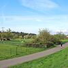 Unterhalb des Bahndamms, wo derzeit noch Kleingärten liegen, wird das neue Wohngebiet in Schwörstadt entstehen. Der durchgängige Radweg ...