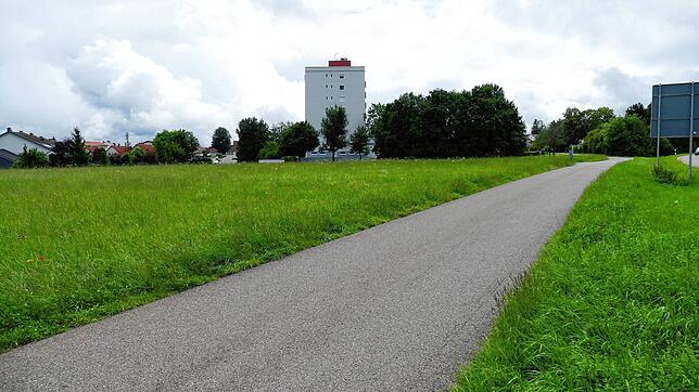 Mindestens fünf Meter hoch und rund 220 Meter lang muss die Lärmschutzwand entlang dieses Wirtschaftsweges sein, um das künftige ...
