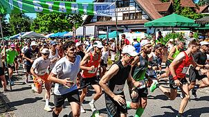 Start des Hauptlaufes beim Schienerberglauf 2025: In diesem Jahr gingen mit 532 Startern so viele Läufer wie lange nicht mehr auf die ...