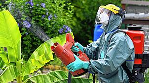 Insektizideinsatz gegen den Japankäfer in einem Garten in Kloten.