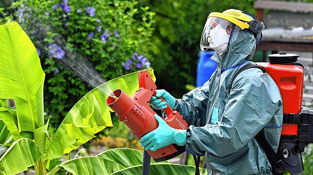 Insektizideinsatz gegen den Japankäfer in einem Garten in Kloten.