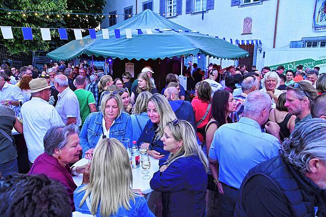 Bild 7: Die Narrozunft erwies sich wieder als perfekter Gastgeber beim Sommerfest im Spitalgarten.