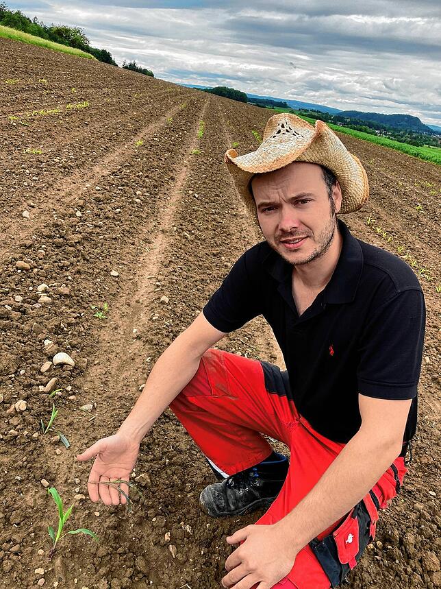 Landwirt Alexander Schlenker zeigt auf einem Acker in Rielasingen kleine vertrocknete Maispflänzchen. Die Pflanzen wurden fast auf dem ...
