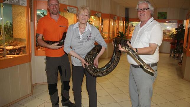 Renate und Peter Kisser und Tierpfleger Urs Schöllhammer (links) mit einem Netzpython. Am heutigen Samstag wird im Reptilienhaus der ...