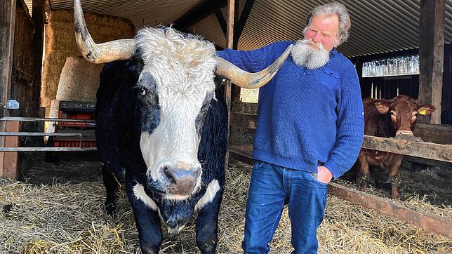 Der Chef des Bauernhofs Litz mit dem Chef seiner Kühe: Kurt Litz und Felix, der Stier. Momentan ist es gar nicht so einfach, selbst ...