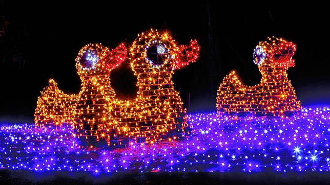 (Archivbild) Bekanntes Motiv: Die vier Enten auf der Mainau, so sehen sie bei Christmas Garden (Bild von 2021) aus. In diesem Jahr gibt ...