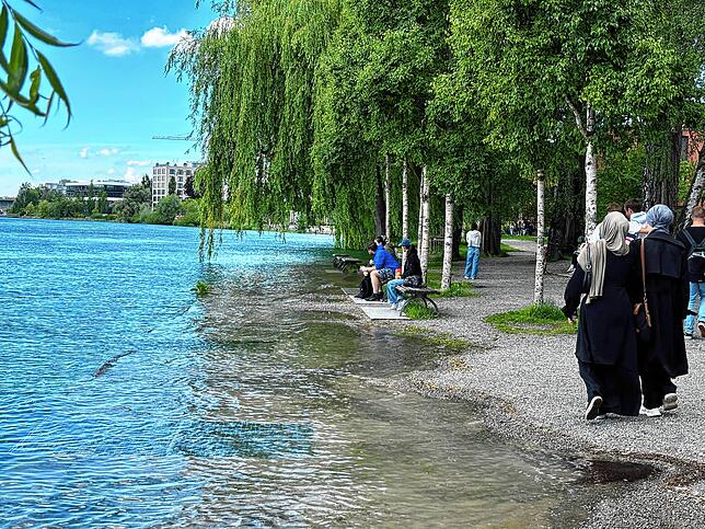 Das Wasser des Seerhein überschwemmt schon Teile des Herosé-Parks.