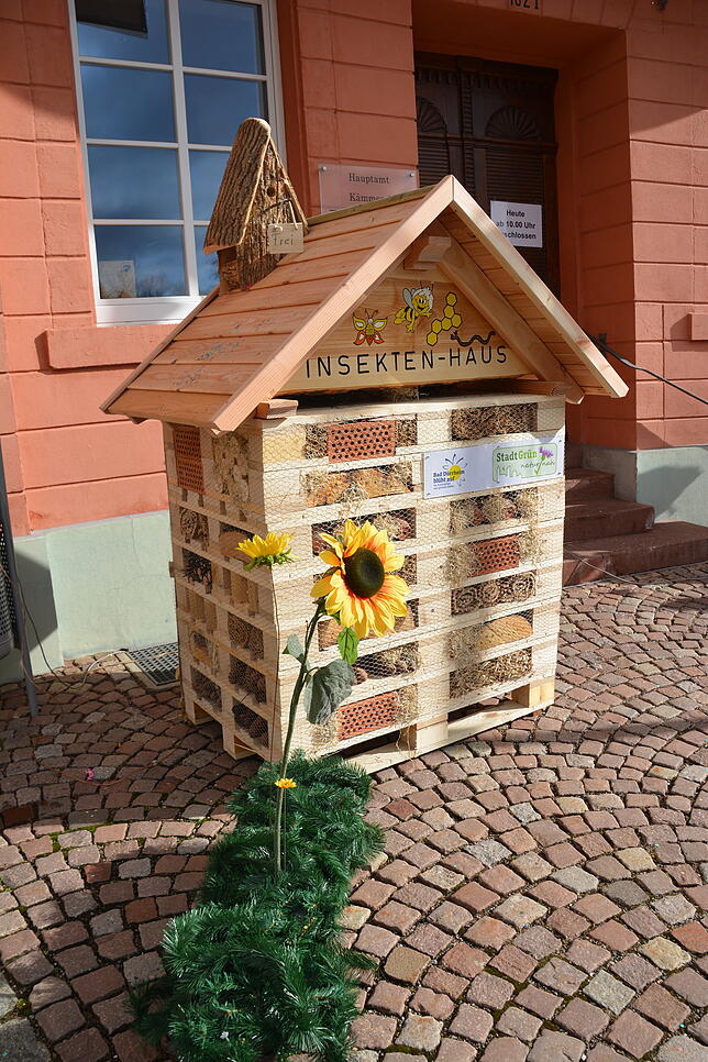 Bild 12: Bilder vom Sturm auf das Rathaus und der Schlüsselübergabe in Bad Dürrheim