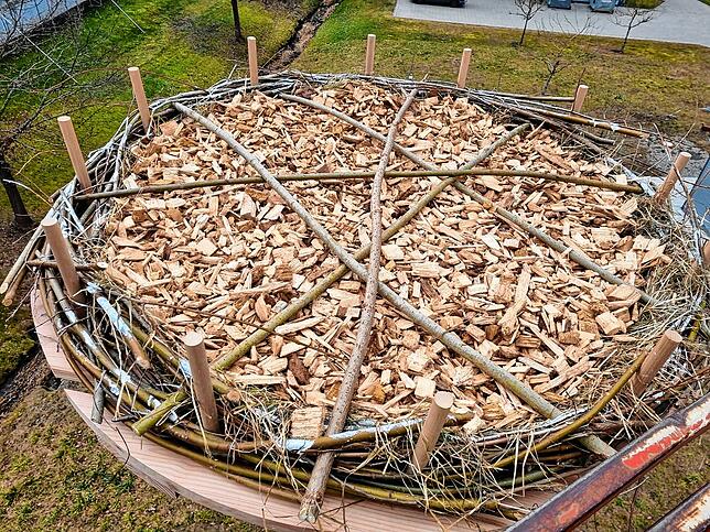 Bild 18: Bilder vom Tausch der Storchennester in Wahlwies