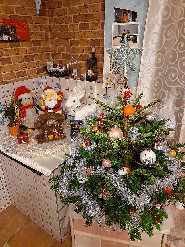 Dieses Bild ihres kleinen, aber wunderschönen Weihnachtsbaums stammt von Svitlana Ukr aus Bad Säckingen.