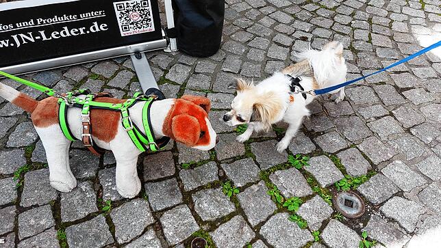 Bild 1: Frühjahrsmesse Villingen – Impressionen