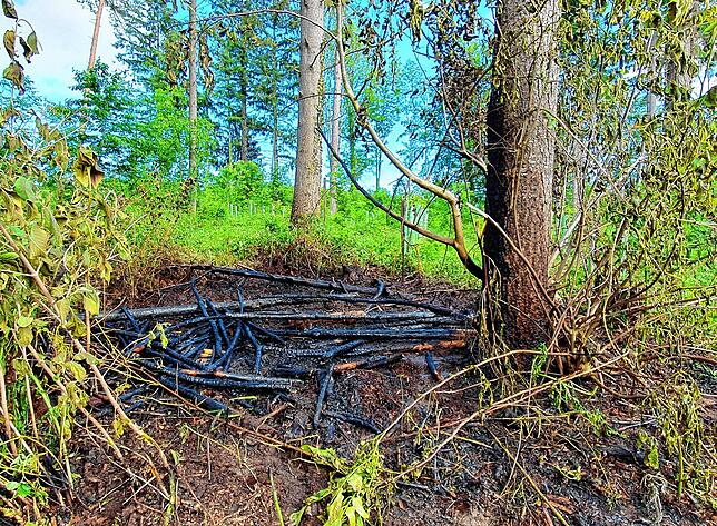 Die verkohlte Stelle im Wald in Daisendorf.