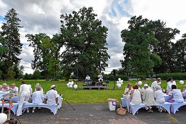 Bild 14: Französisches Picknick ganz in Weiß im Donaueschinger Schlosspark