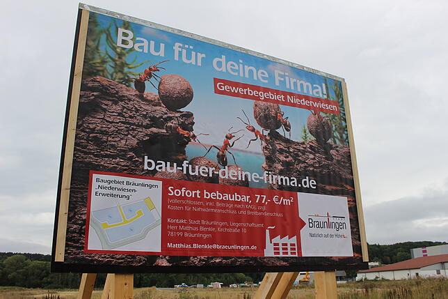 Fleißige Ameisen sollen weitere Firmen auf die freien Flächen in den Niederwiesen locken. Dort sind mittlerweile vier Bauplätze verkauft.